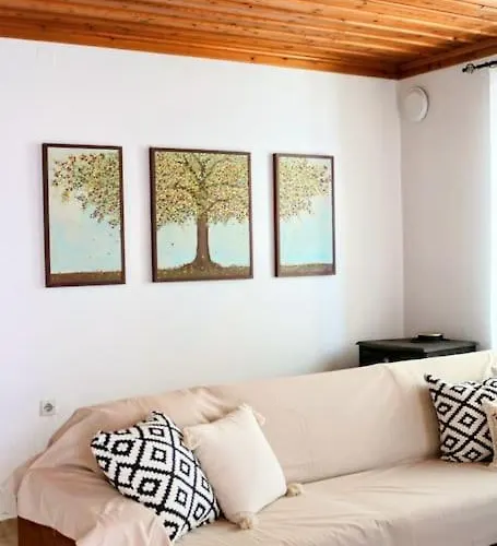 Apartament Traditional House Mataki *